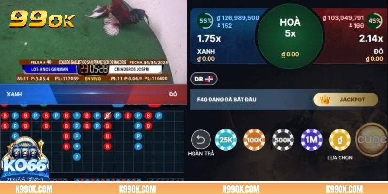 Giao diện phát trực tiếp đá gà trên điện thoại